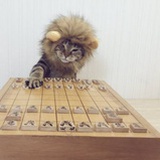 花里胡哨的干嘛