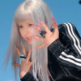 狗粮
