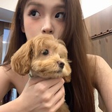 不吃我不饿谢谢