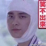 一只爱八卦的鹅