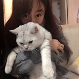 派大辛说