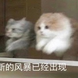雪冰敲好恰