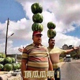 独家记忆