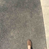 霍尔