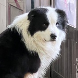 冥王星早餐