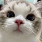 拾贰