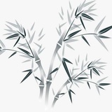 楚尚