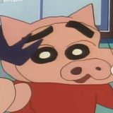 思特里壳兰德