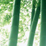 嗒嗒
