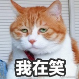 造口业的是孤儿