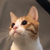 Le