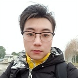 猪撞树上了