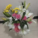 小蜗牛