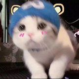 春暖花开