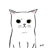Doria的小爪子