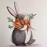 安晴