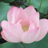 蓝调