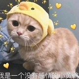 211108