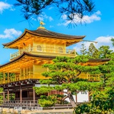 张伞伞