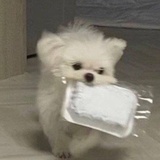 今天吃什么呢