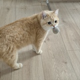 木子口十