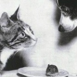 真是好大一張床