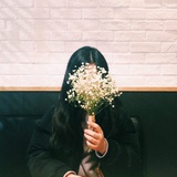 哥斯拉