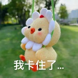是路路的宝宝