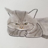 すき