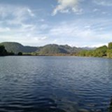 已注销