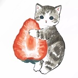 人间游荡者
