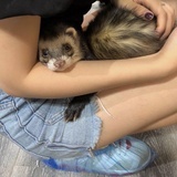 长安