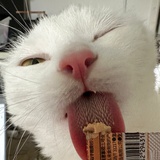 仅剩一人！