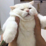 我的大月土子