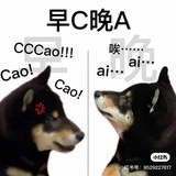 苏西