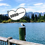 很会BBBB本体