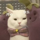 会呼吸的小白