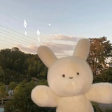 只是蝴蝶不愿意