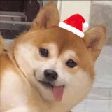 放我出去💢