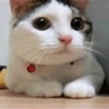 夜落