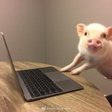 我
