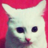 深海動物