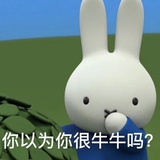 Shirley_l