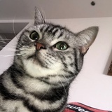 JamieWeirdo