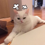 nanai5