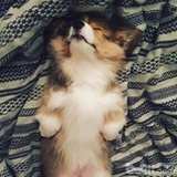 Cin