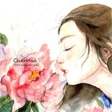 Bonjour.菜菜酱