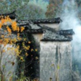 清新的光