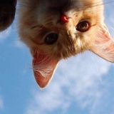 话不投机鲜橙多