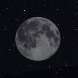 只要片刻欢愉